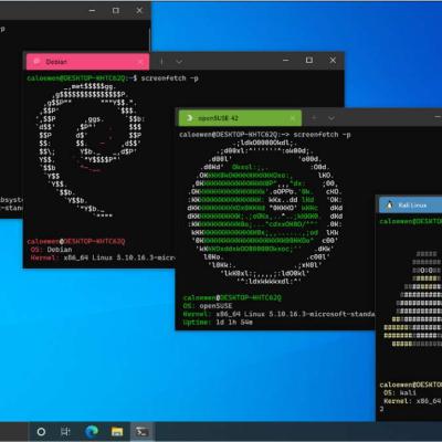 Linux Windows 10 2
